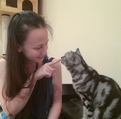 Кошачье кафе в Японии