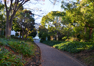 Жизнь в Японии, станция Ниси Касай, Токио