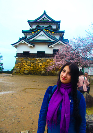 туризм в Японии, замок Хиконе
