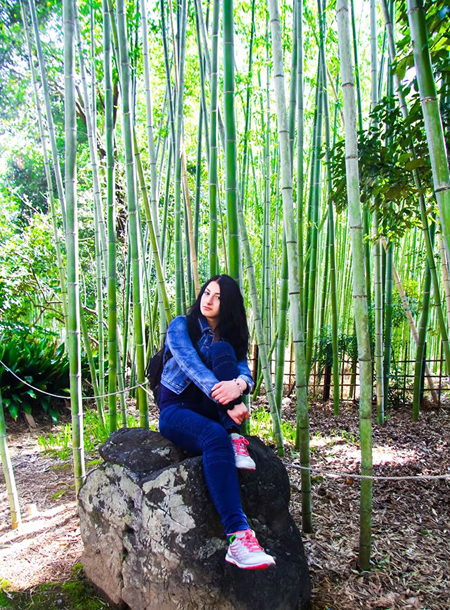 бамбуковый лес, Япония