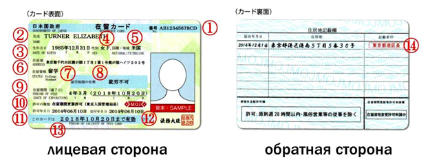 Информация о карточке резидента 在留カード
