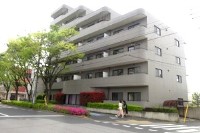 Школа японского языка TLS (город Токио)