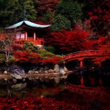 Расписание и цены на все школы в октябре, ноябре и декабре 2019