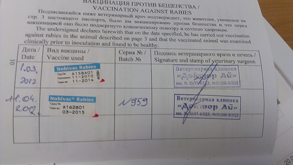 необходимые справки для ввоза в Японию домашнего животного