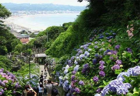 Как отдохнуть летом в Японии?