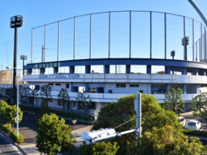 Nishi-Kasai - что можно увидеть по дороге в школу?